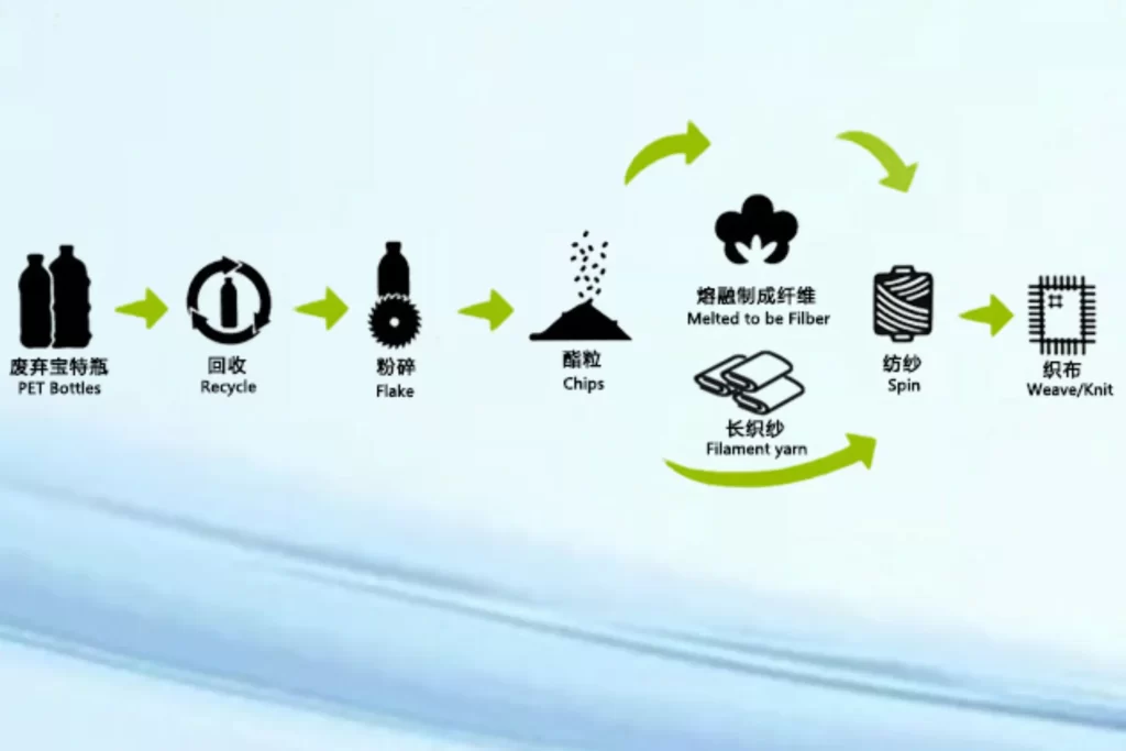 Inclusive and Sustainable Branding